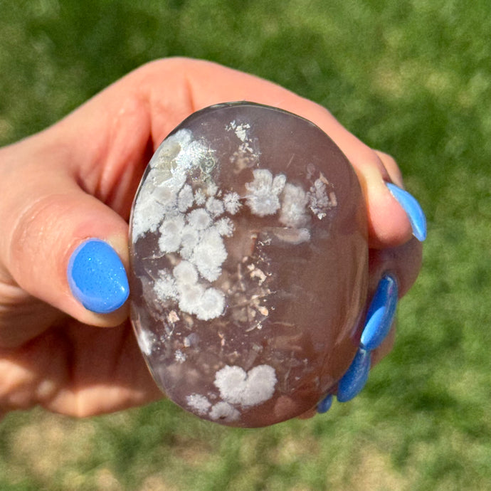 Black Flower Agate Palm Stone Crystal Specimen