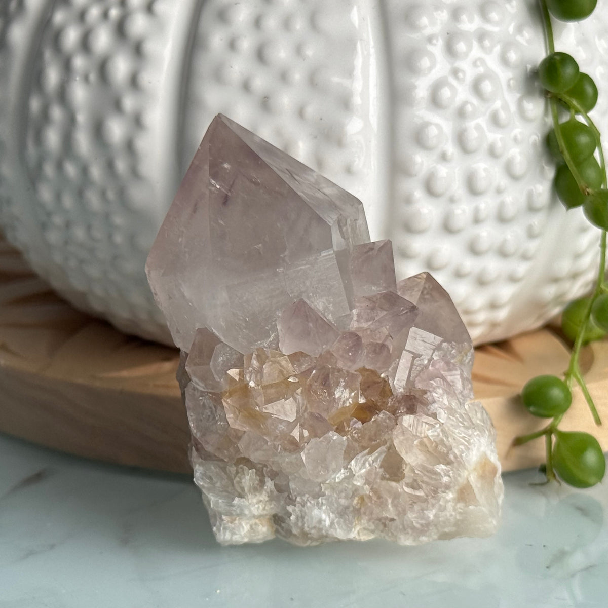 Amethyst Spirit Quartz Raw Crystal Specimen – Wholehearted Crystal Creations