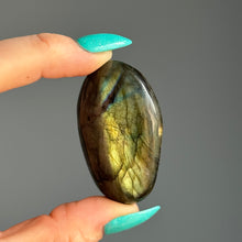 Labradorite Palm Stone Specimen