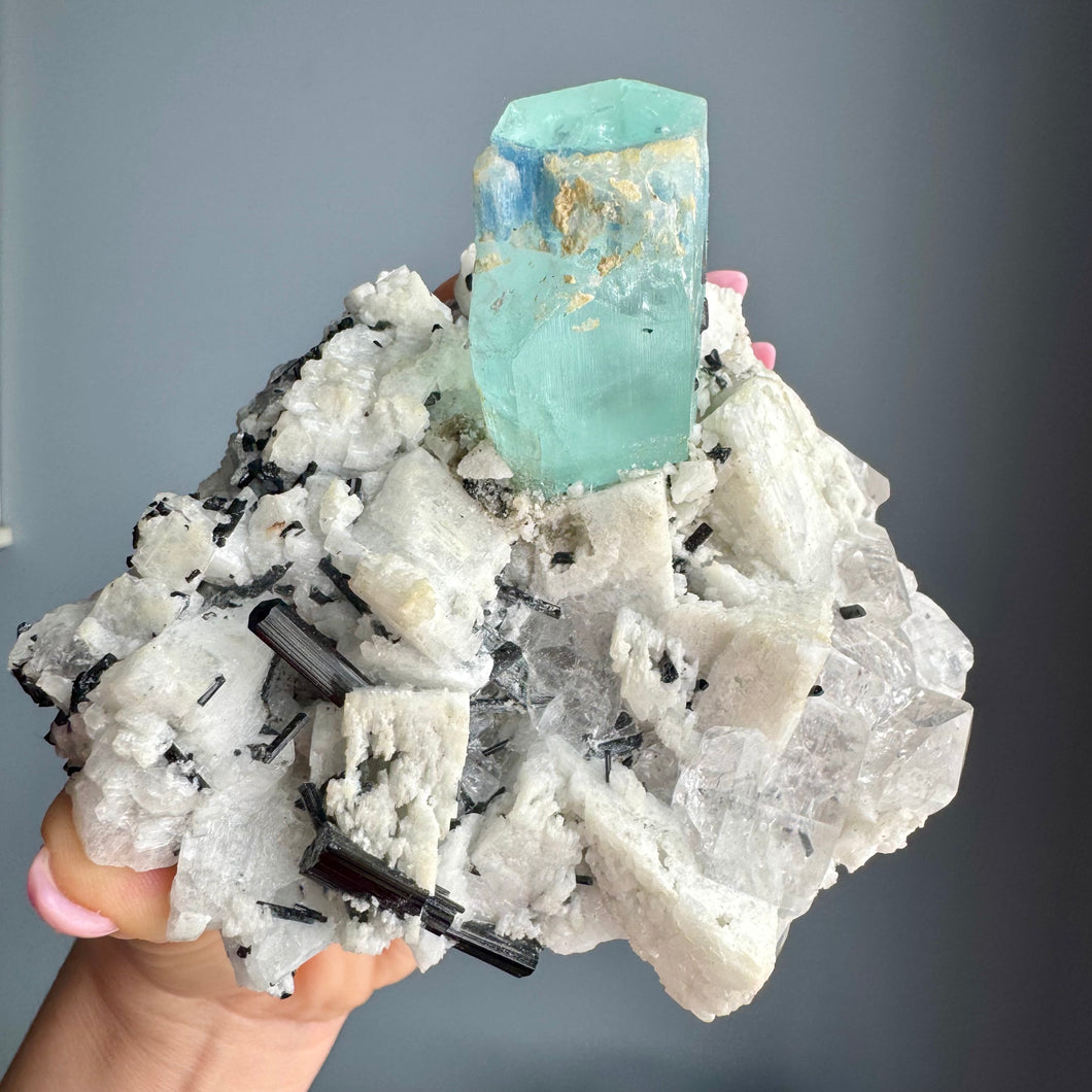 AAA Rare Aquamarine Specimen on Tourmalated Quartz Matrix
