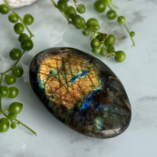 Hayley's Labradorite Palm Stone Specimen