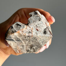 Mexican Lace Agate Specimen
