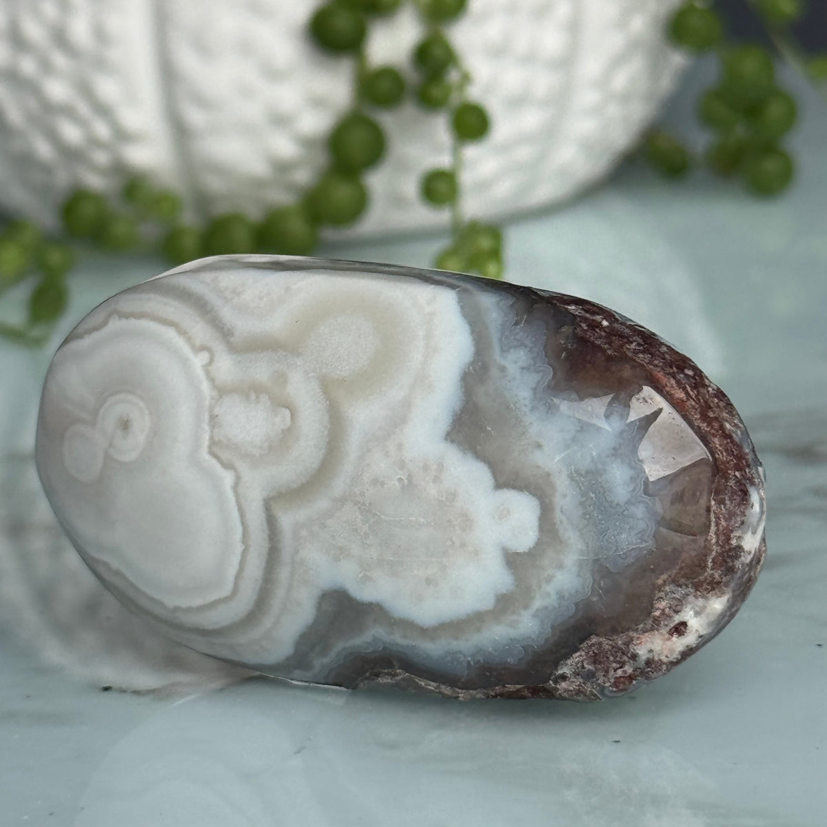 Crazy Lace Agate Palm Stone Crystal Specimen – Wholehearted Crystal Creations