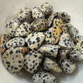 Dalmatian Jasper Tumbled Pocket Stone Crystal Specimen – Wholehearted Crystal Creations