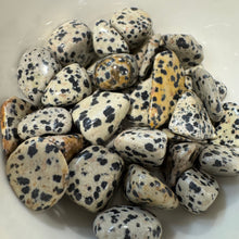 Dalmatian Jasper Tumbled Pocket Stone Crystal Specimen ($2-$5)