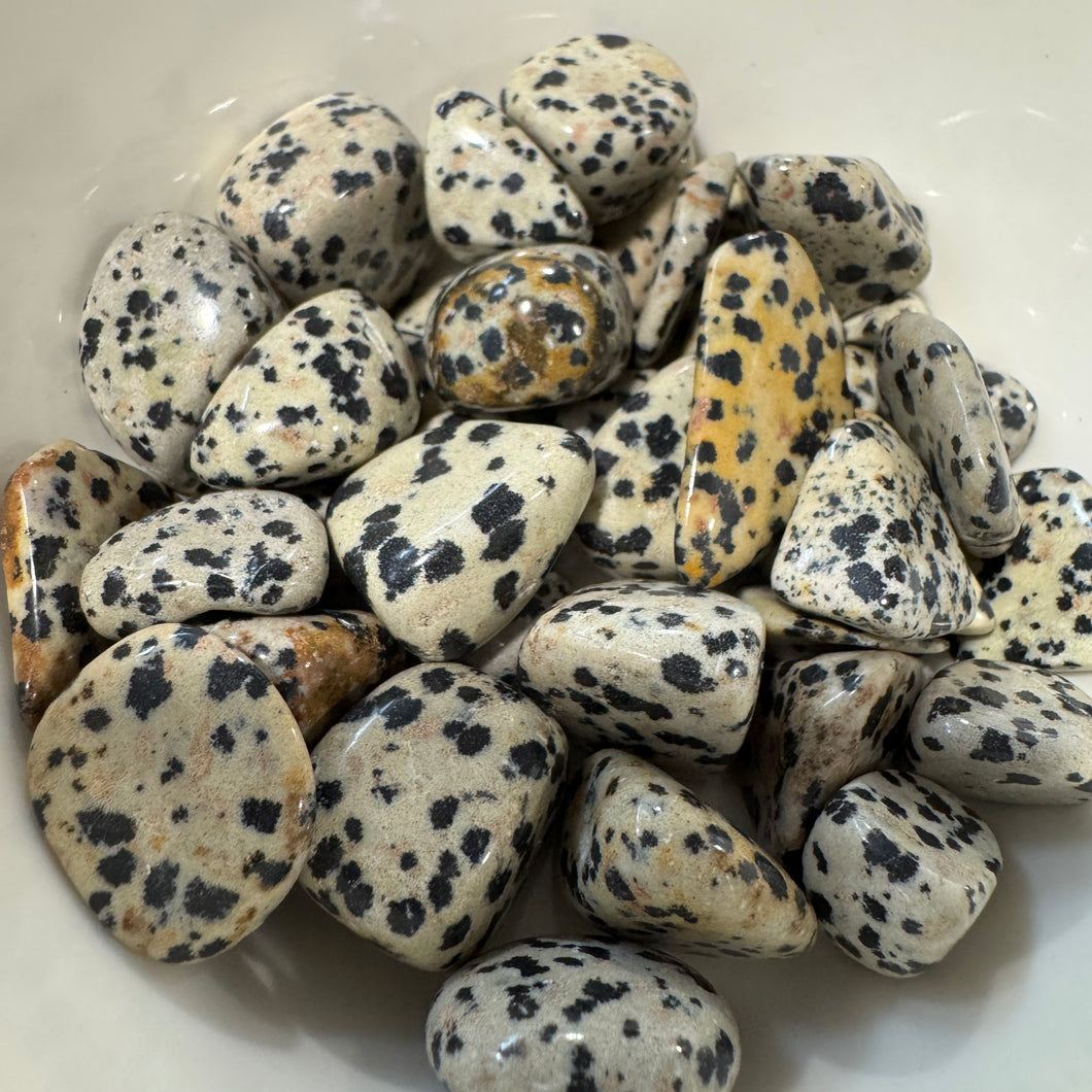 Dalmatian Jasper Tumbled Pocket Stone Crystal Specimen ($2-$5)