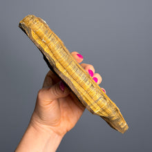 Tiger's Eye (Raw) Crystal Specimen