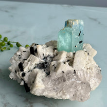 AAA Rare Aquamarine Specimen on Tourmalated Quartz Matrix
