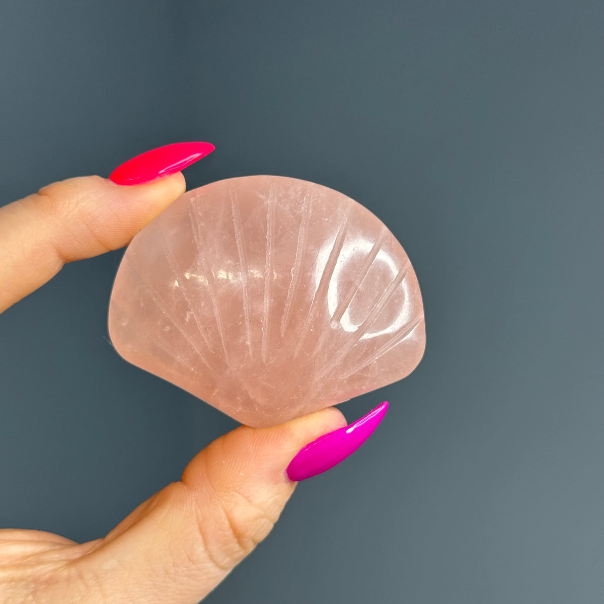 Rose Quartz Seashell Carving Crystal Specimen – Wholehearted Crystal Creations