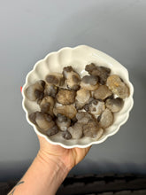 Botryoidal Agate Raw Crystal Specimen – Wholehearted Crystal Creations