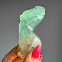 Fluorite Body Carving Crystal Specimen