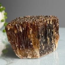 Honey (Amber) Calcite Raw Specimen