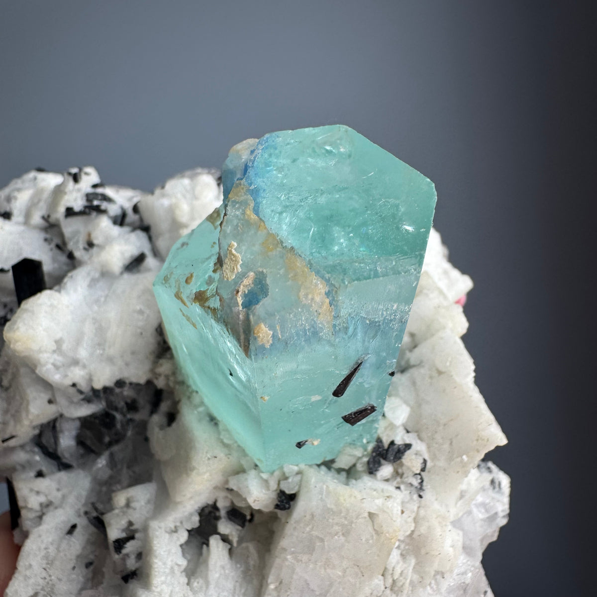 AAA Rare Aquamarine Specimen on Tourmalated Quartz Matrix – Wholehearted Crystal Creations