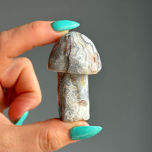 Crazy Lace Agate Mushroom Carving Specimen