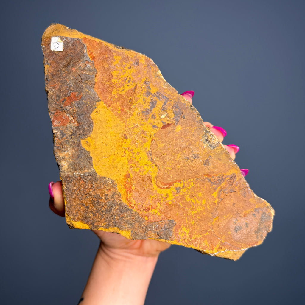 Tiger's Eye (Raw) Crystal Specimen – Wholehearted Crystal Creations