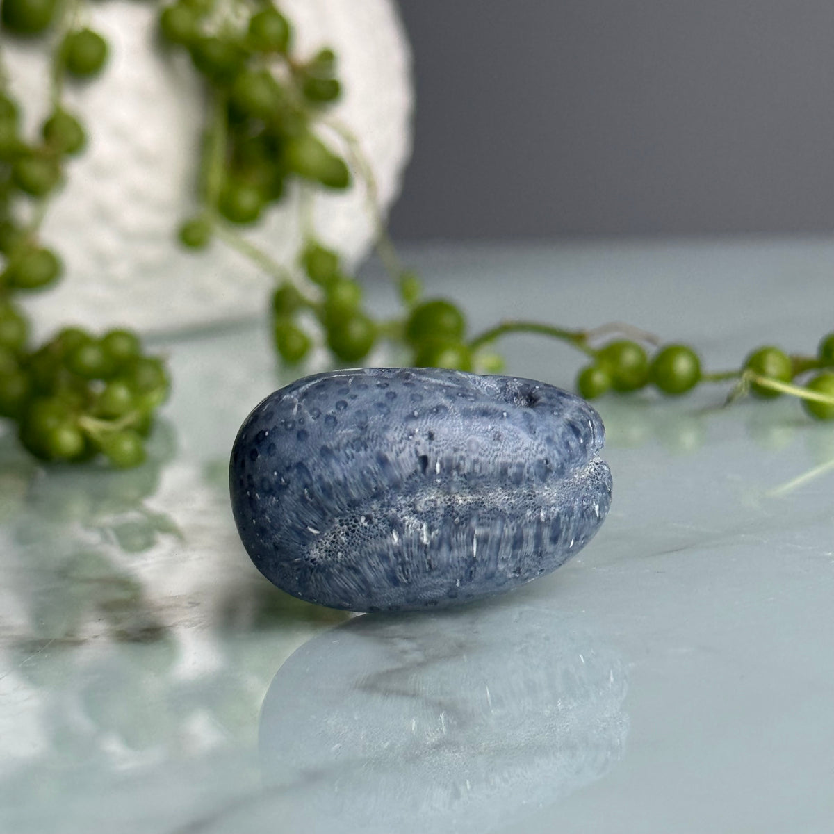 Blue Coral Tumbled Pocket Stone Crystal Specimen – Wholehearted Crystal Creations