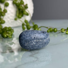Blue Coral Tumbled Pocket Stone Specimen (LG)