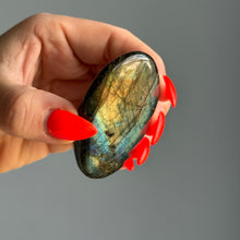 Hayley's Labradorite Palm Stone Specimen