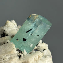 AAA Rare Aquamarine Specimen on Tourmalated Quartz Matrix