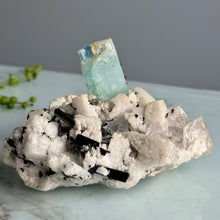 AAA Rare Aquamarine Specimen on Tourmalated Quartz Matrix