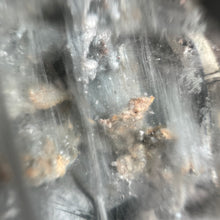 Blue Tara Quartz Specimen BTQ#10