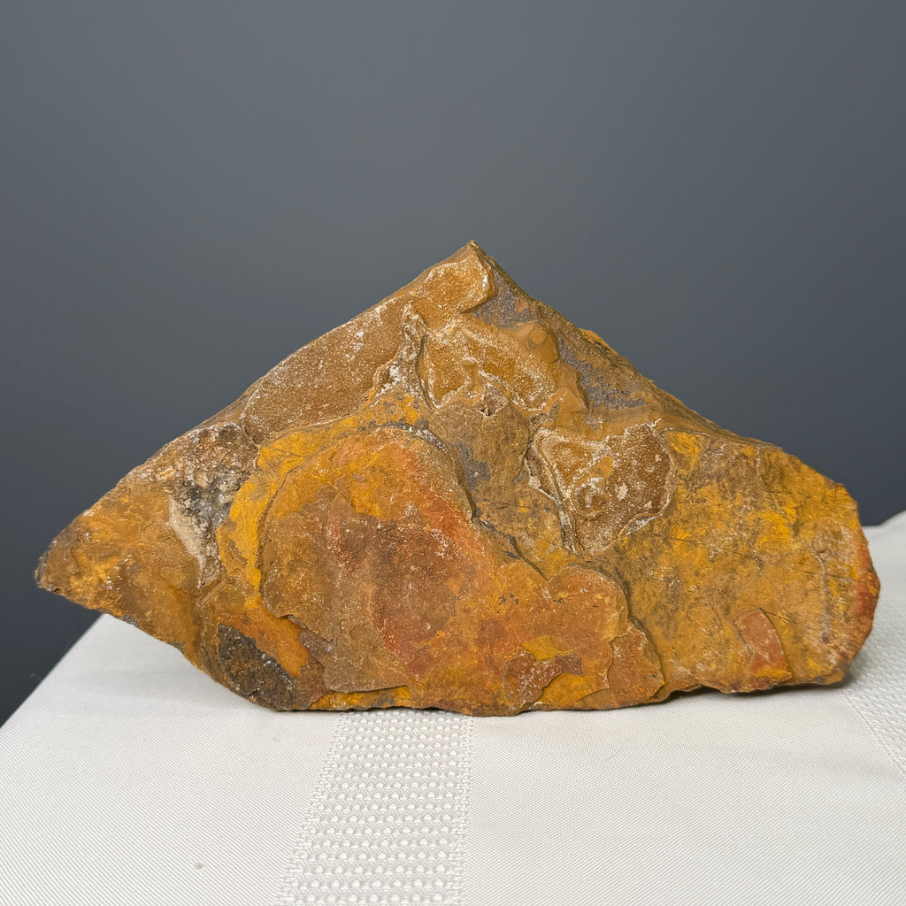 Tiger's Eye raw crystal specimen — reverse side