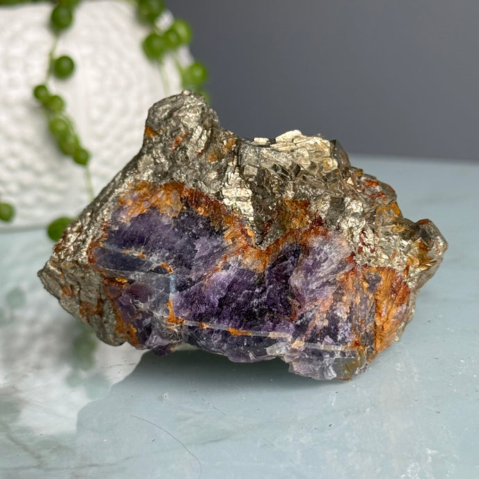 RARE Pyrite + Fluorite Raw Crystal Specimen