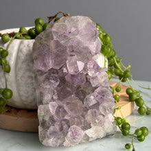 Amethyst Raw Crystal Specimen