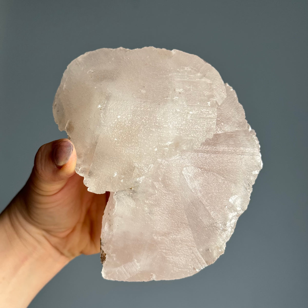 RARE Etched Pagoda Calcite Clamshell Crystal Specimen – Wholehearted Crystal Creations