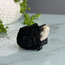 Sarah's Black Tourmaline & Clear Quartz Raw Duo