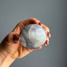 Orca Agate Palm Stone Crystal Specimen