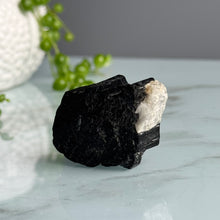 Sarah's Black Tourmaline & Clear Quartz Raw Duo