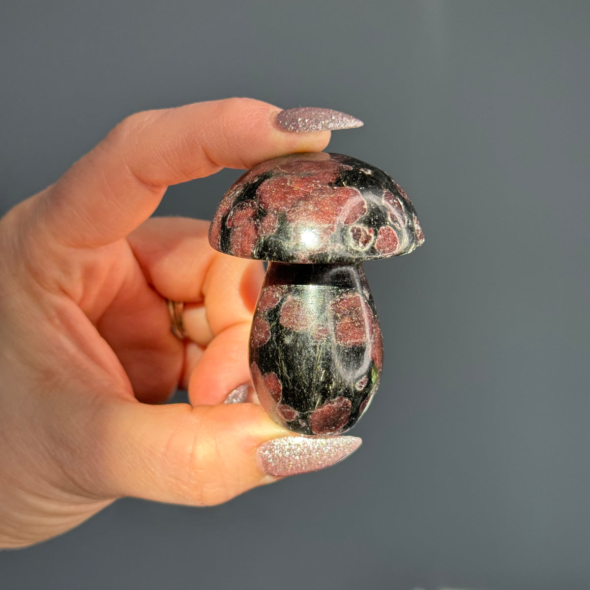 Garnet in Arfvedsonite Mushroom Crystal Carving – Wholehearted Crystal Creations