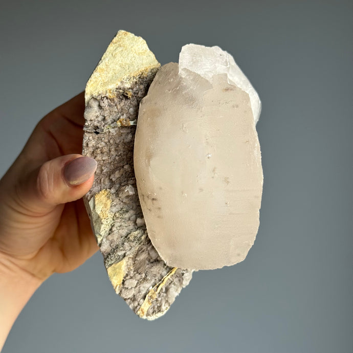 RARE Etched Pagoda Calcite Clamshell Specimen with Fluorite Inclusions (UV Reactive) (PA3)
