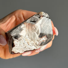 Mexican Lace Agate Specimen