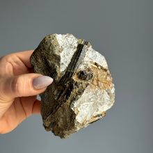 Green Tourmaline in Quartz Raw Specimen