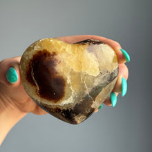 Septarian Nodule Heart Carving Specimen