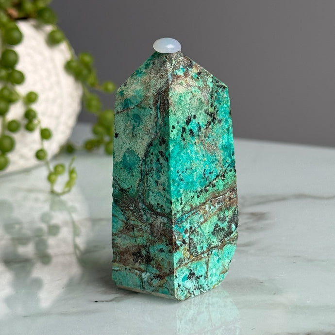 Chrysocolla (Phoenix Stone) Tower Specimen