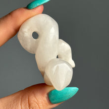 Agate Snake Crystal Craving Specimen