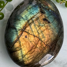 Hayley's Labradorite Palm Stone Specimen