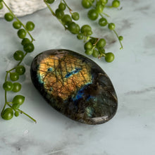Hayley's Labradorite Palm Stone Specimen