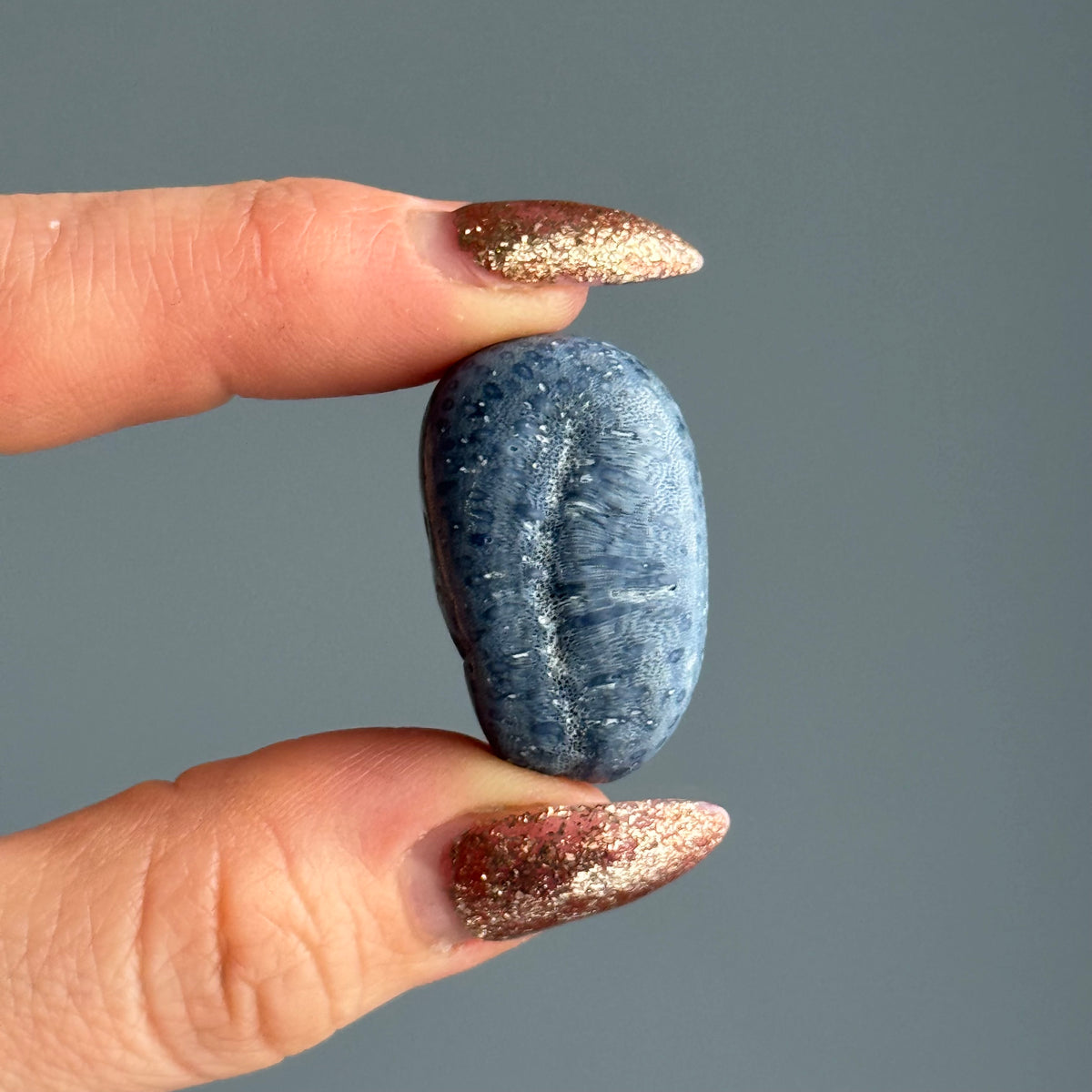Blue Coral Tumbled Pocket Stone Crystal Specimen – Wholehearted Crystal Creations