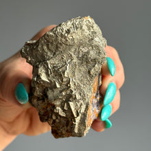 RARE Pyrite + Fluorite Raw Crystal Specimen