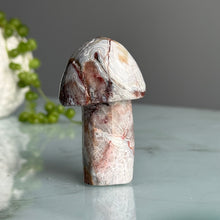 Crazy Lace Agate Mushroom Carving Specimen
