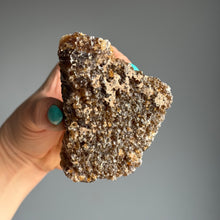 Honey (Amber) Calcite Raw Specimen