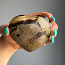 Septarian Nodule Heart Carving Specimen