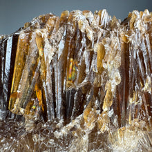 Honey (Amber) Calcite Raw Specimen