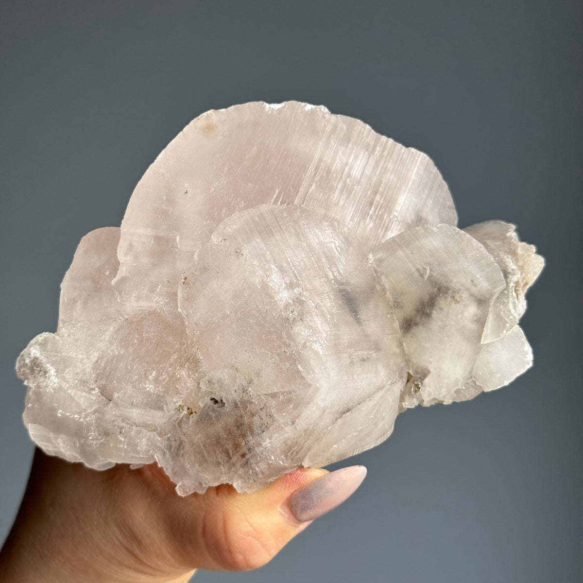 RARE Etched Pagoda Calcite Clamshell Crystal Specimen – Wholehearted Crystal Creations
