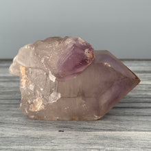 Skeletal Amethyst Spector Specimen (SA01)