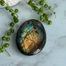 Hayley's Labradorite Palm Stone Specimen